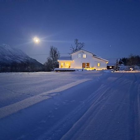 Mountainside Lodge - Breivikeidet Tromsø Esterno foto