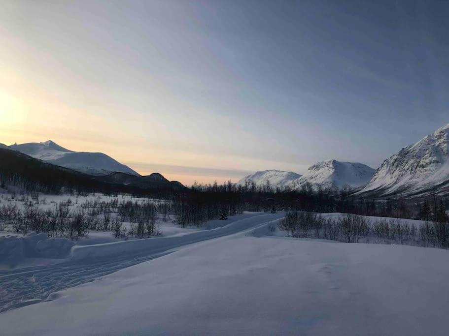 Mountainside Lodge - Breivikeidet Tromsø Esterno foto