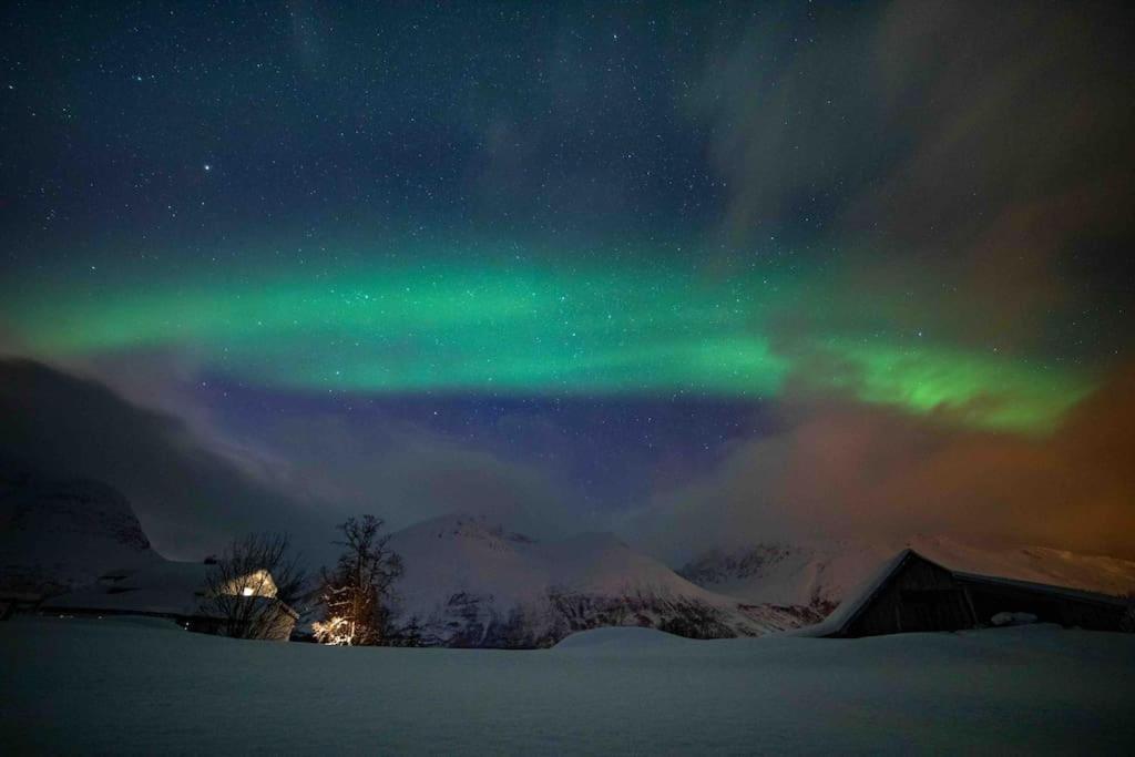 Mountainside Lodge - Breivikeidet Tromsø Esterno foto
