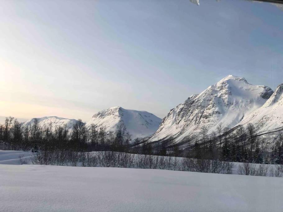 Mountainside Lodge - Breivikeidet Tromsø Esterno foto