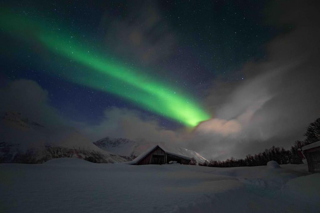 Mountainside Lodge - Breivikeidet Tromsø Esterno foto