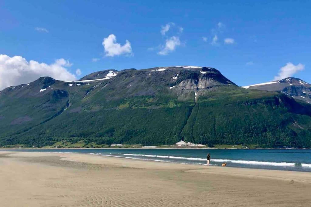 Mountainside Lodge - Breivikeidet Tromsø Esterno foto