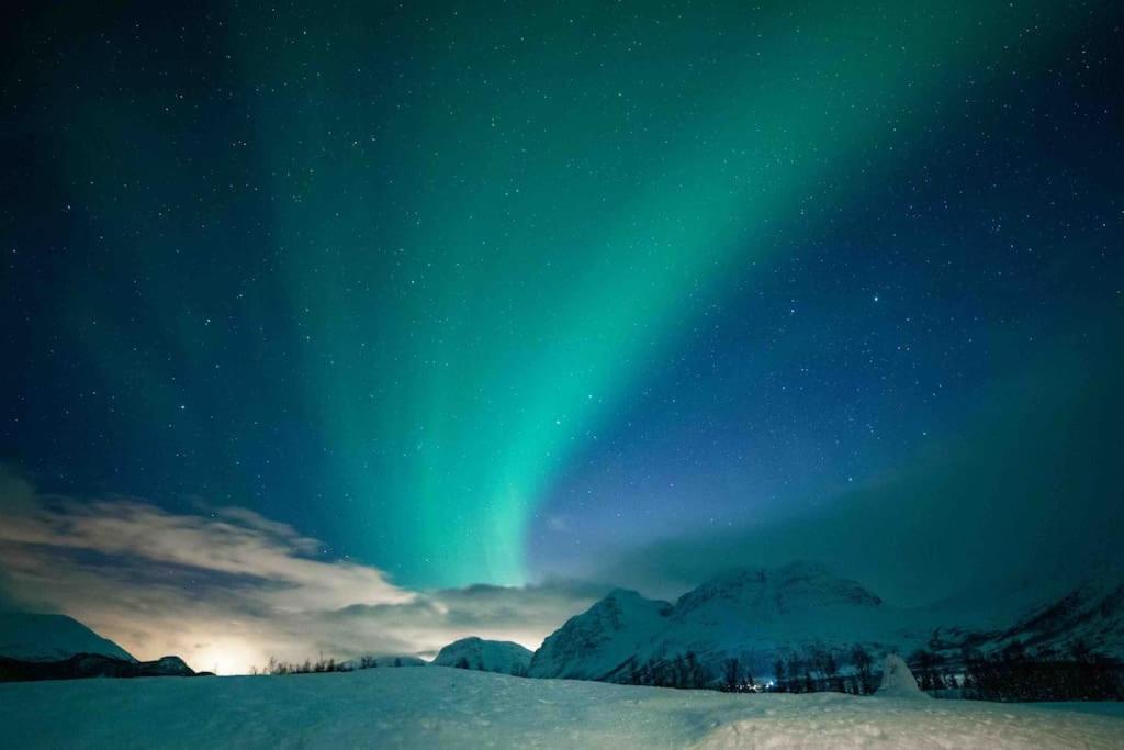 Mountainside Lodge - Breivikeidet Tromsø Esterno foto