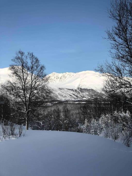 Mountainside Lodge - Breivikeidet Tromsø Esterno foto