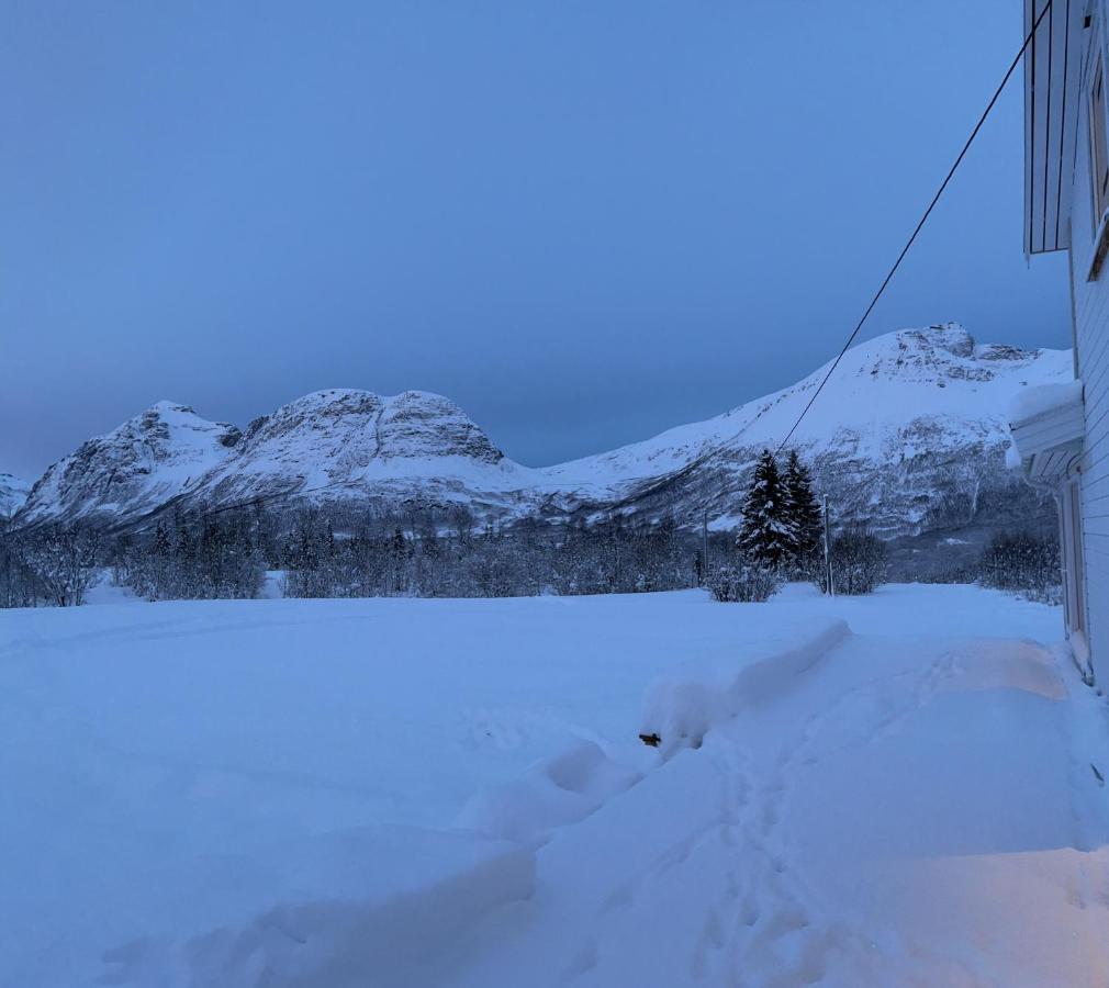 Mountainside Lodge - Breivikeidet Tromsø Esterno foto