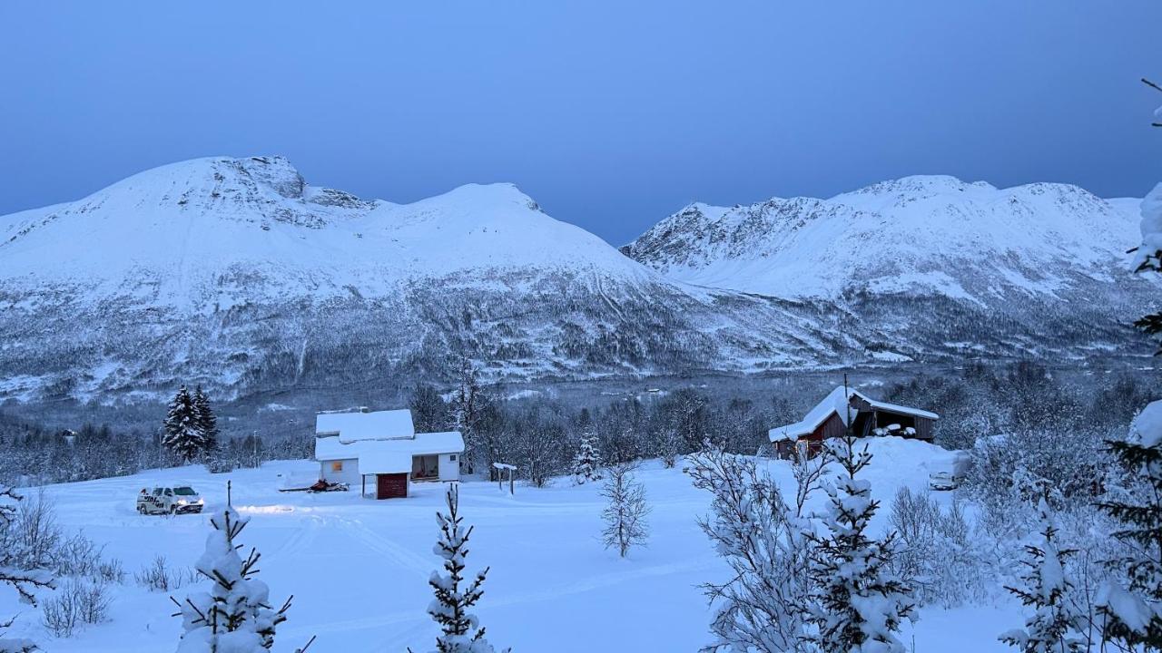 Mountainside Lodge - Breivikeidet Tromsø Esterno foto