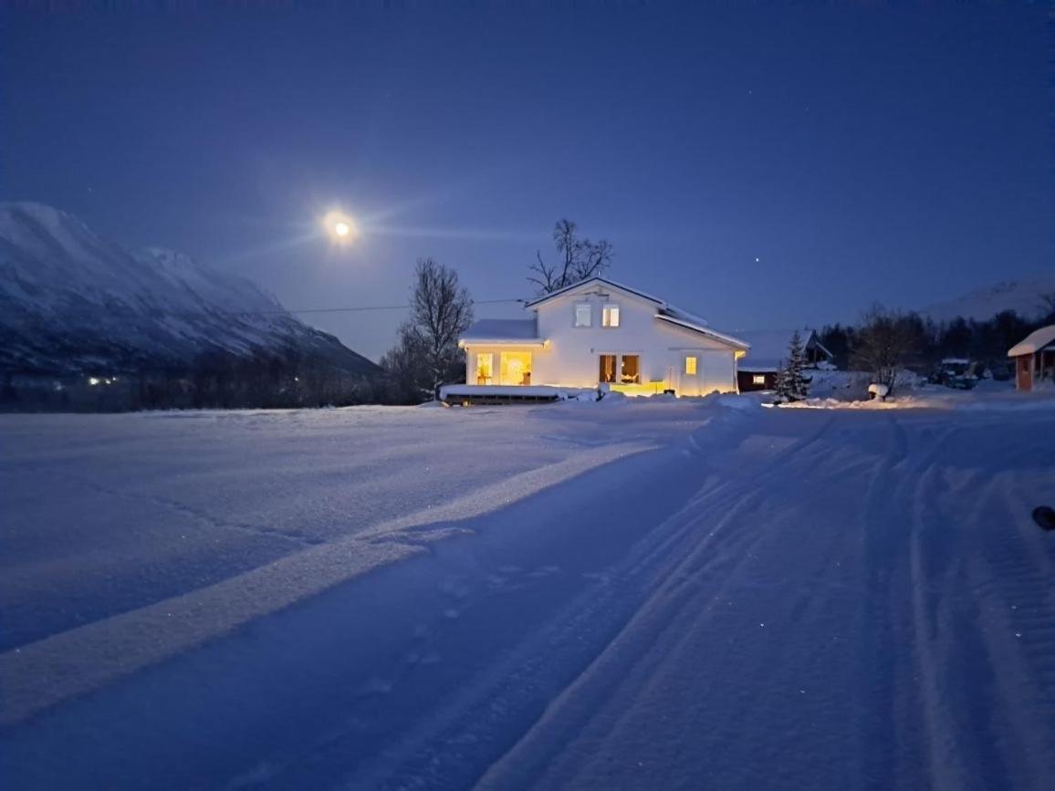 Mountainside Lodge - Breivikeidet Tromsø Esterno foto